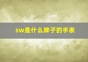 sw是什么牌子的手表