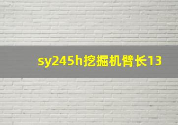 sy245h挖掘机臂长13