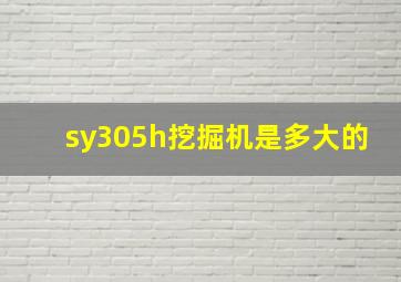 sy305h挖掘机是多大的