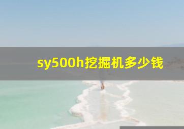 sy500h挖掘机多少钱