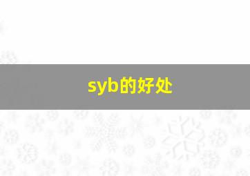 syb的好处