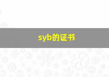 syb的证书