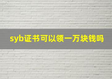 syb证书可以领一万块钱吗