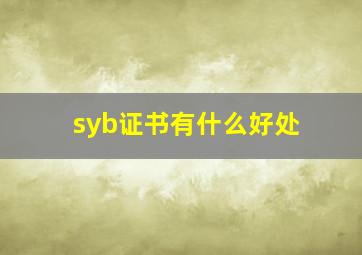 syb证书有什么好处