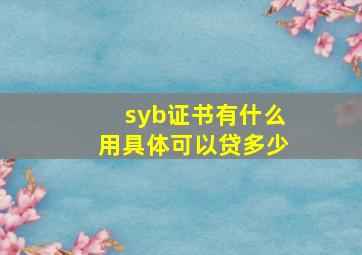 syb证书有什么用具体可以贷多少