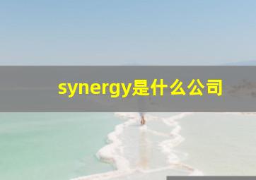 synergy是什么公司