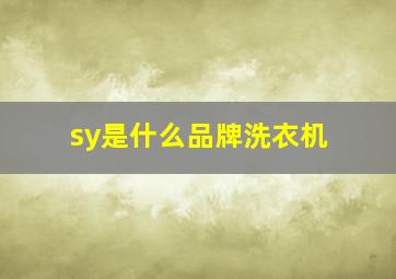 sy是什么品牌洗衣机