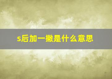 s后加一撇是什么意思