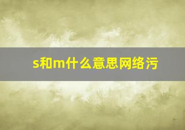 s和m什么意思网络污