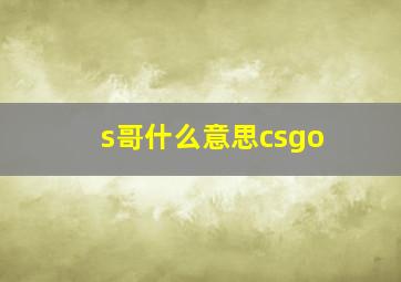 s哥什么意思csgo