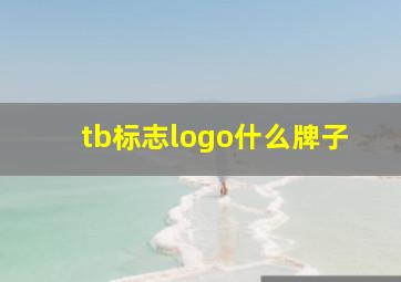 tb标志logo什么牌子