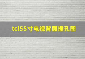 tcl55寸电视背面插孔图