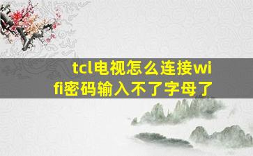 tcl电视怎么连接wifi密码输入不了字母了