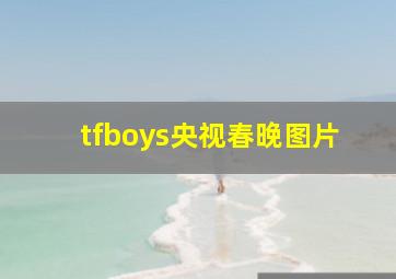 tfboys央视春晚图片