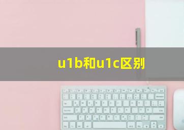 u1b和u1c区别