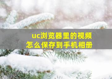 uc浏览器里的视频怎么保存到手机相册