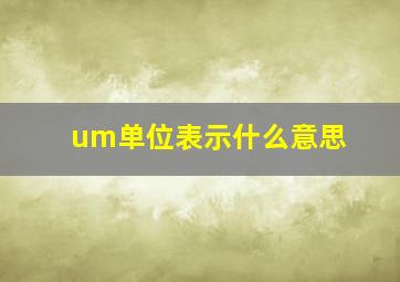 um单位表示什么意思