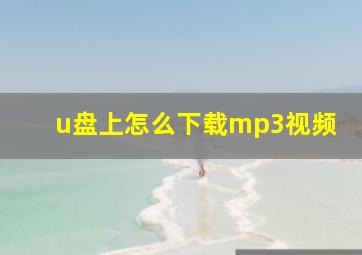 u盘上怎么下载mp3视频