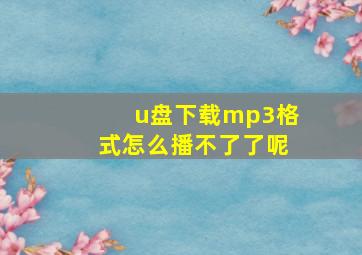 u盘下载mp3格式怎么播不了了呢