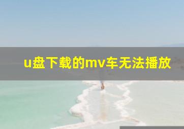 u盘下载的mv车无法播放