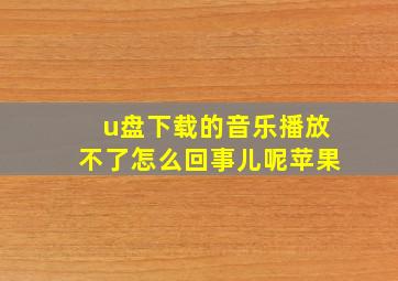 u盘下载的音乐播放不了怎么回事儿呢苹果