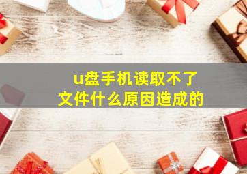 u盘手机读取不了文件什么原因造成的