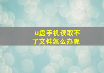 u盘手机读取不了文件怎么办呢