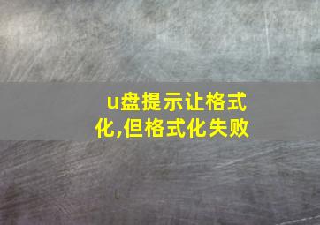 u盘提示让格式化,但格式化失败