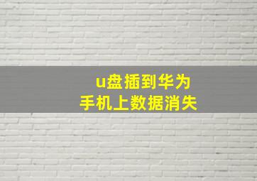 u盘插到华为手机上数据消失