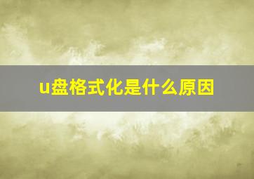 u盘格式化是什么原因