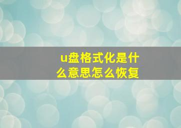 u盘格式化是什么意思怎么恢复