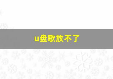 u盘歌放不了