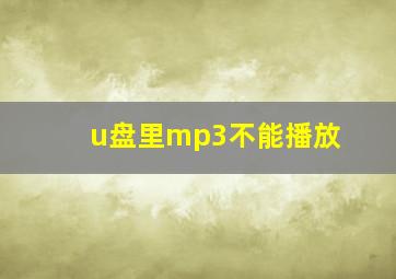 u盘里mp3不能播放