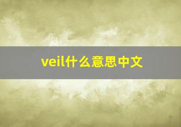 veil什么意思中文