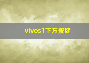 vivos1下方按键