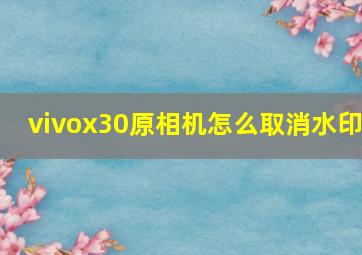 vivox30原相机怎么取消水印