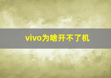 vivo为啥开不了机