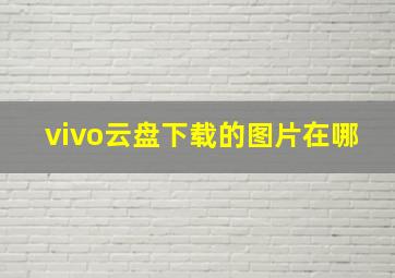 vivo云盘下载的图片在哪