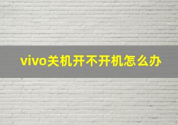 vivo关机开不开机怎么办