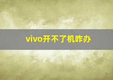 vivo开不了机咋办