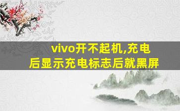 vivo开不起机,充电后显示充电标志后就黑屏