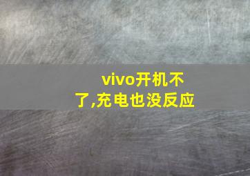 vivo开机不了,充电也没反应