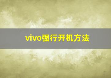 vivo强行开机方法