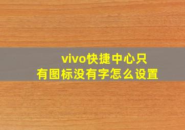 vivo快捷中心只有图标没有字怎么设置