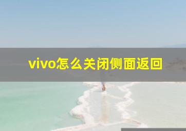 vivo怎么关闭侧面返回