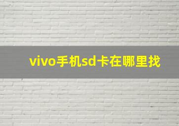 vivo手机sd卡在哪里找