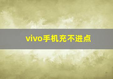 vivo手机充不进点