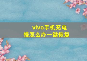 vivo手机充电慢怎么办一键恢复