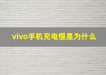 vivo手机充电慢是为什么