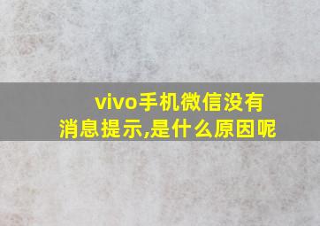 vivo手机微信没有消息提示,是什么原因呢